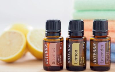 A Fragrant Start to 2019