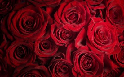 Happy Valentine’s Day