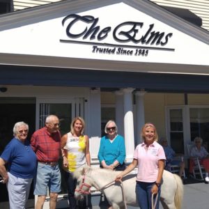 Horses Healing Humans - Pet Therapy at The Elms Westerly