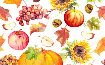 The Elms Season of Giving